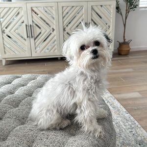 Meet your Posher, Ruaida